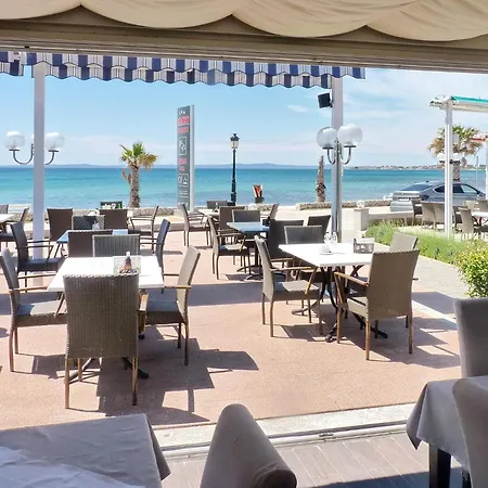 Paradiso, No 4 * Vir