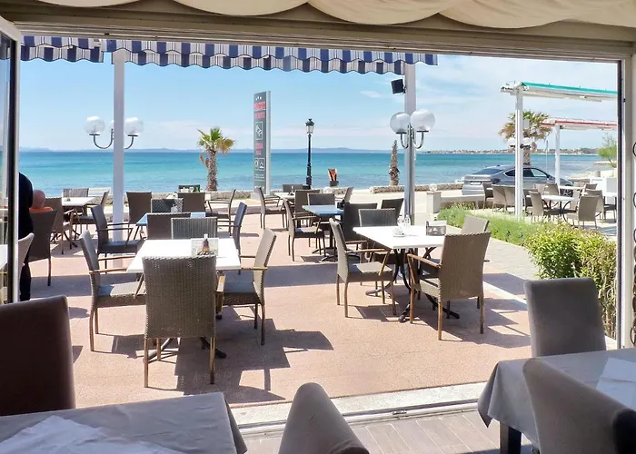 Paradiso, No 4 * Vir